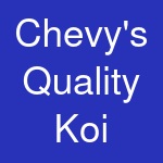 Chevy's Quality Koi