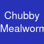 Chubby Mealworms