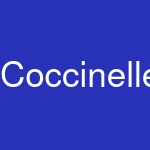 Coccinelle