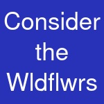 Consider the Wldflwrs