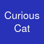 Curious Cat