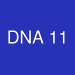 DNA 11