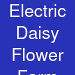 Electric Daisy Flower Farm