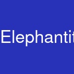 Elephantito