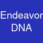 Endeavor DNA