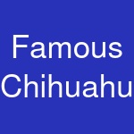 Famous Chihuahua