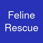 Feline Rescue