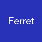 Ferret