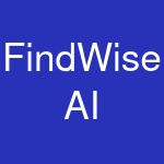 FindWise AI