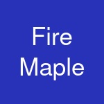 Fire Maple