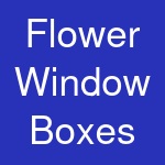 Flower Window Boxes