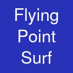 Flying Point Surf