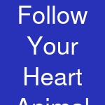 Follow Your Heart Animal Rescue