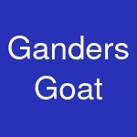 Ganders Goat