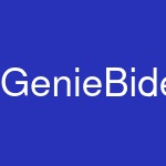 GenieBidet