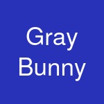 Gray Bunny