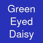 Green Eyed Daisy