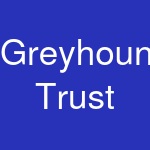 Greyhound Trust