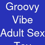 Groovy Vibe Adult Sex Toy