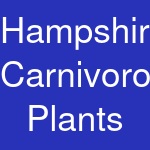 Hampshire Carnivorous Plants