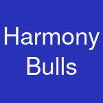 Harmony Bulls