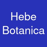 Hebe Botanica