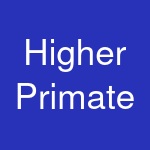 Higher Primate