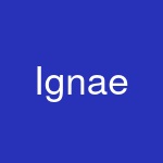 Ignae