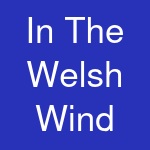 In The Welsh Wind