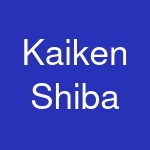 Kaiken Shiba