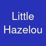 Little Hazelou