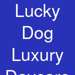 Lucky Dog Luxury Daycare & Boarding