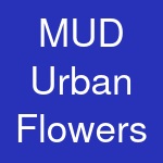 MUD Urban Flowers