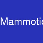 Mammotion