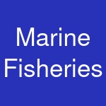 Marine Fisheries