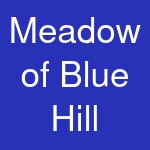 Meadow of Blue Hill