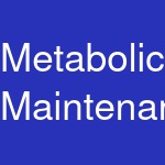 Metabolic Maintenance