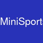 MiniSportsBalls