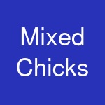 Mixed Chicks