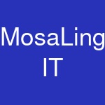 MosaLingua IT