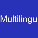 MultilingualPress