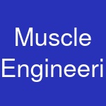 Muscle Engineering