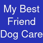 My Best Friend Dog Care