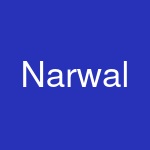 Narwal