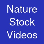 Nature Stock Videos