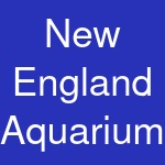 New England Aquarium