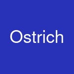 Ostrich