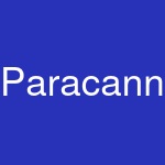 Paracanna