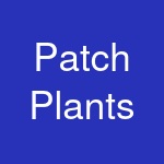 Patch Plants