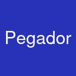 Pegador